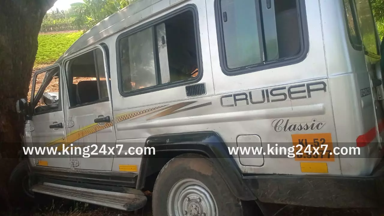 புளியம்பட்டி அருகே மரத்தில் மோதி டிரைவர் உட்பட 10 பேர் படுகாயம்