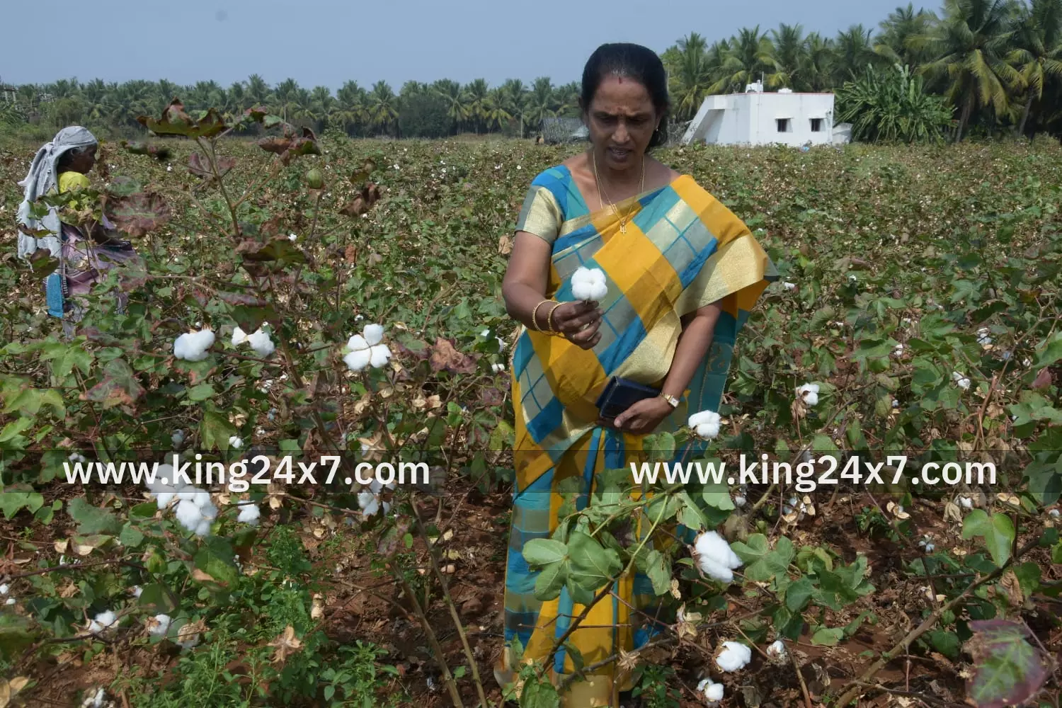 சைமா பருத்தி அபிவிருத்தி மற்றும் ஆராய்ச்சி கழகத்தின் சார்பில் மல்ல சமுத்திரத்தில் விவசாயிகளுக்குகஸ்தூரி பருத்தி குறித்த பயிற்சி வகுப்பு