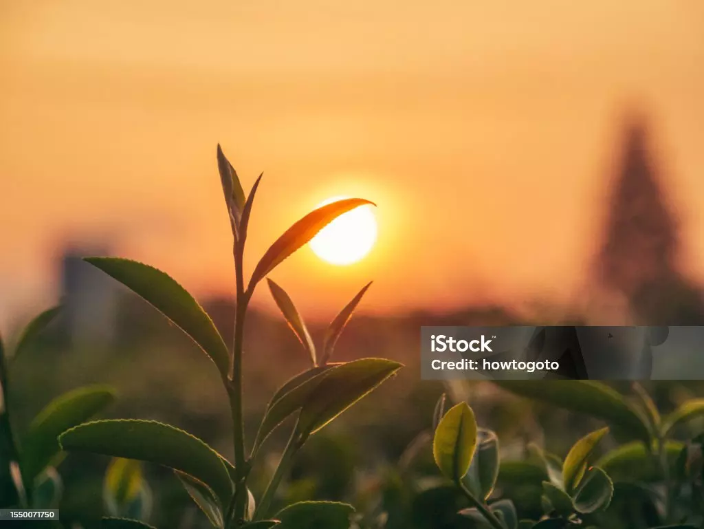 Test Data Set. edit News          test data set